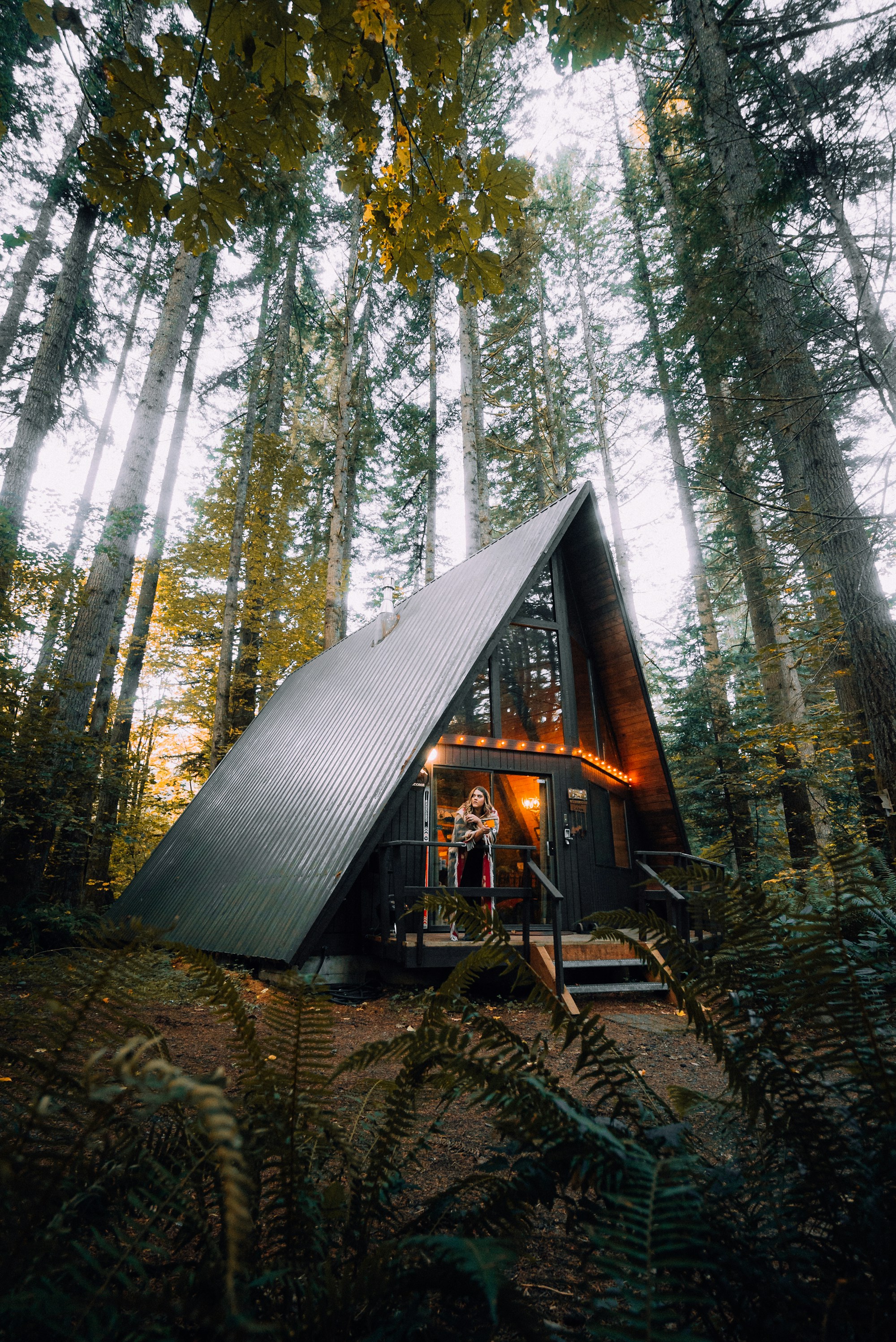 A secluded A-frame cabin among tall forest trees